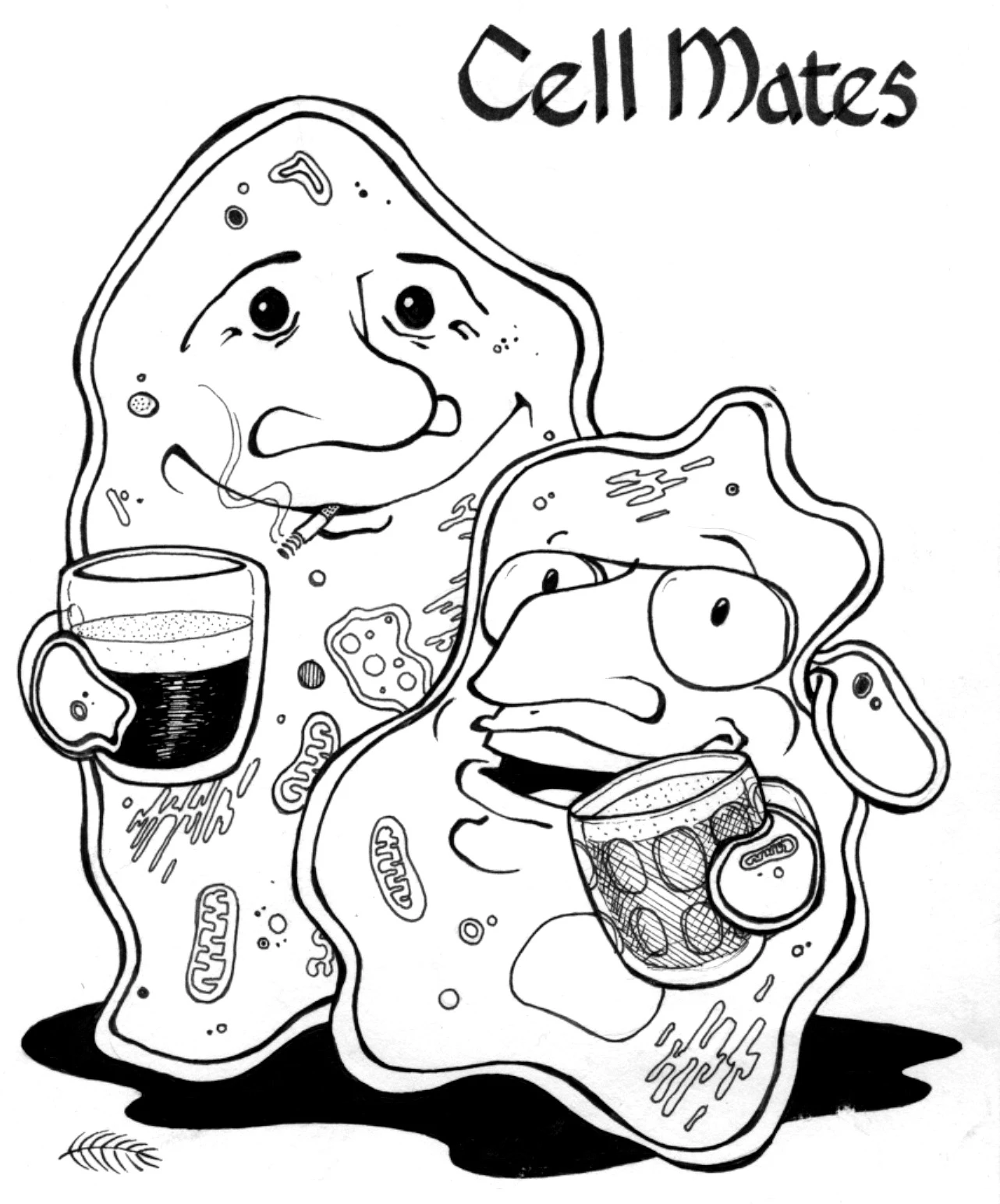 Cartoon of two cells having a drink together; entitled "Cell Mates"